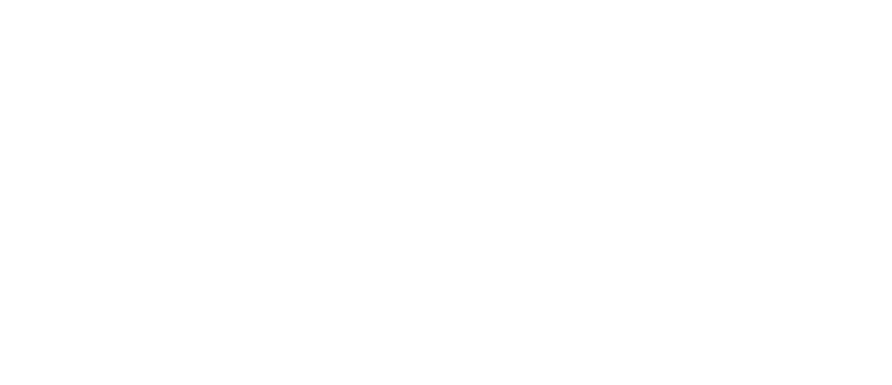 AVIATION LOGISTICS NETWORK